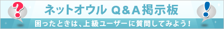 ͥåȥ Q&AǼ